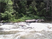 BullSluice 12